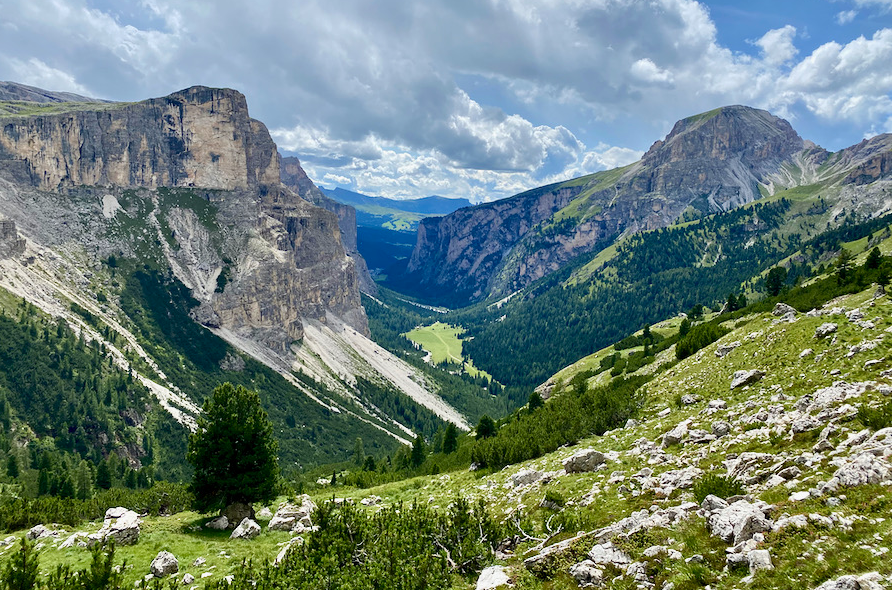 The Dog Lover's Guide to Mountain Walks